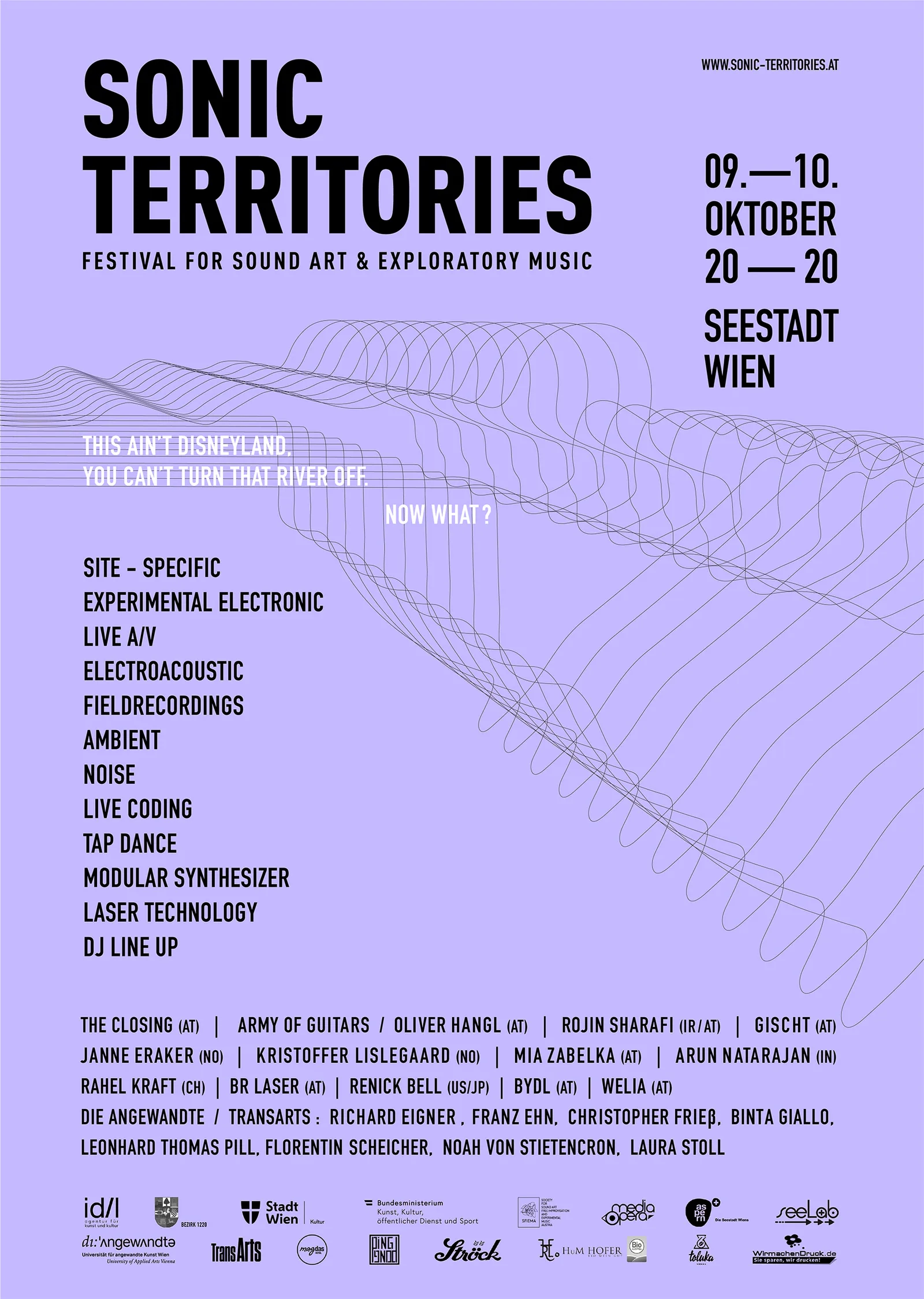 Sonic Territories Festival 2020 poster